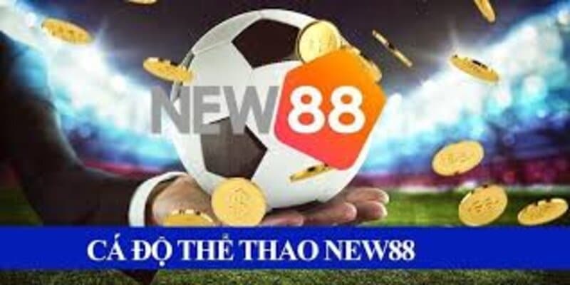 avt-the-thao-new88